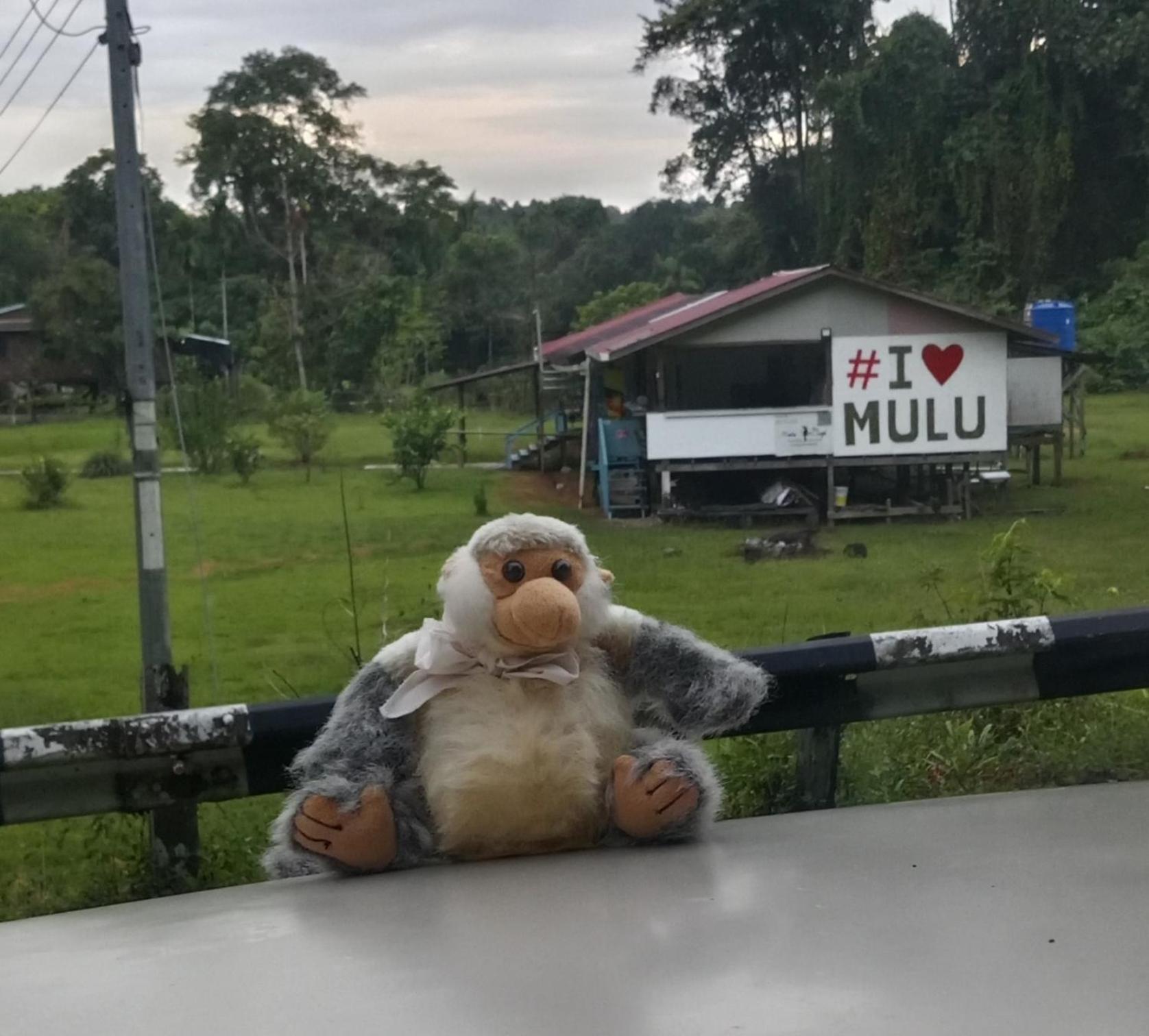 Mulu Village Dış mekan fotoğraf