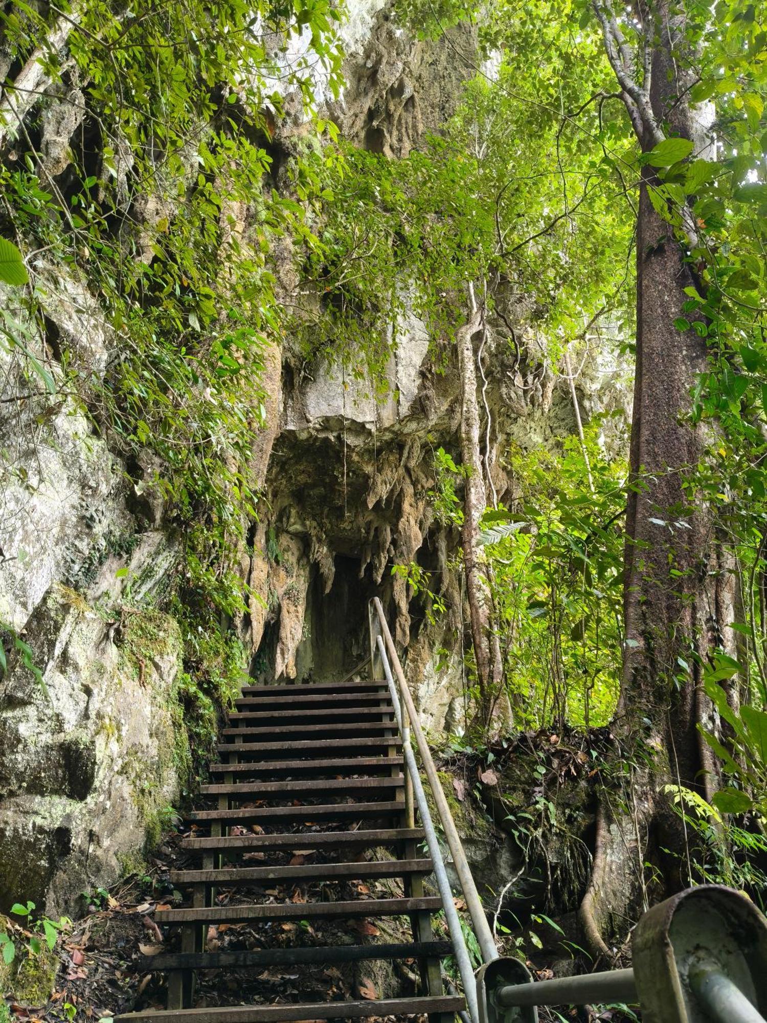 Mulu Village Dış mekan fotoğraf