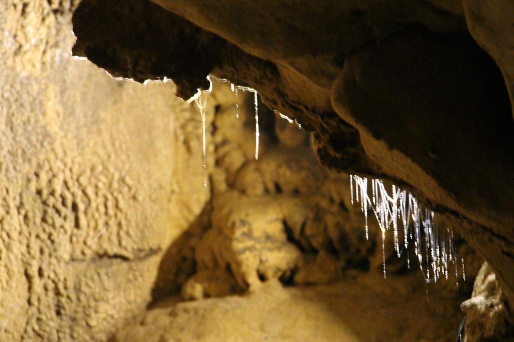 Mulu Village Dış mekan fotoğraf