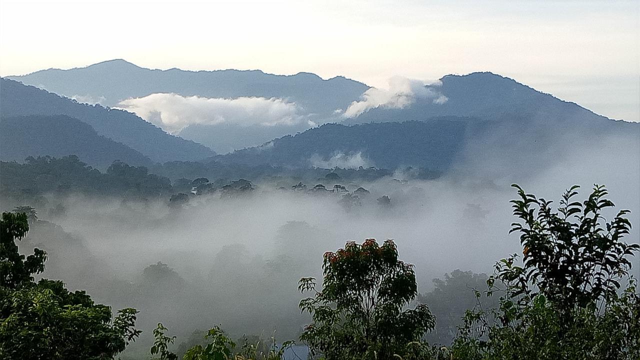 Mulu Village Oda fotoğraf
